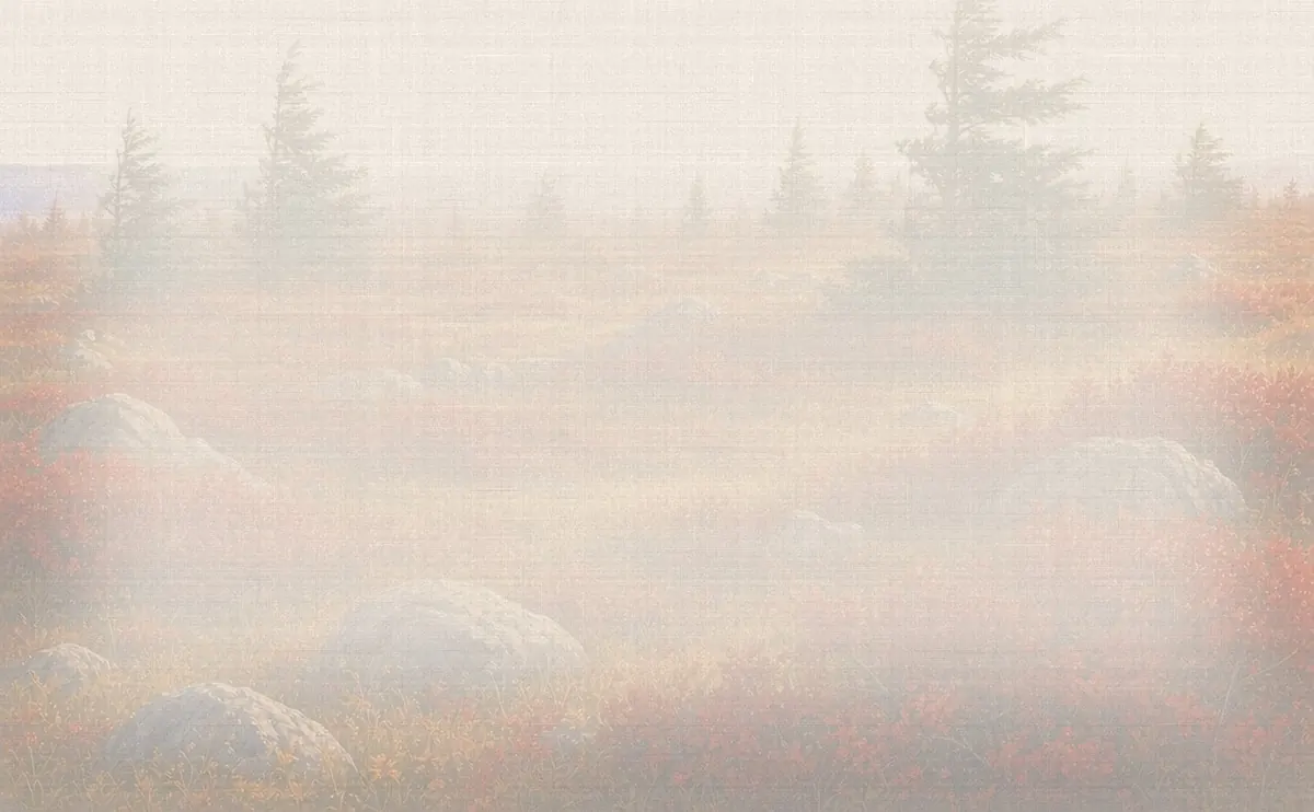 Soft watercolor wash: Dolly Sods heath plains and wind-flagged spruce
